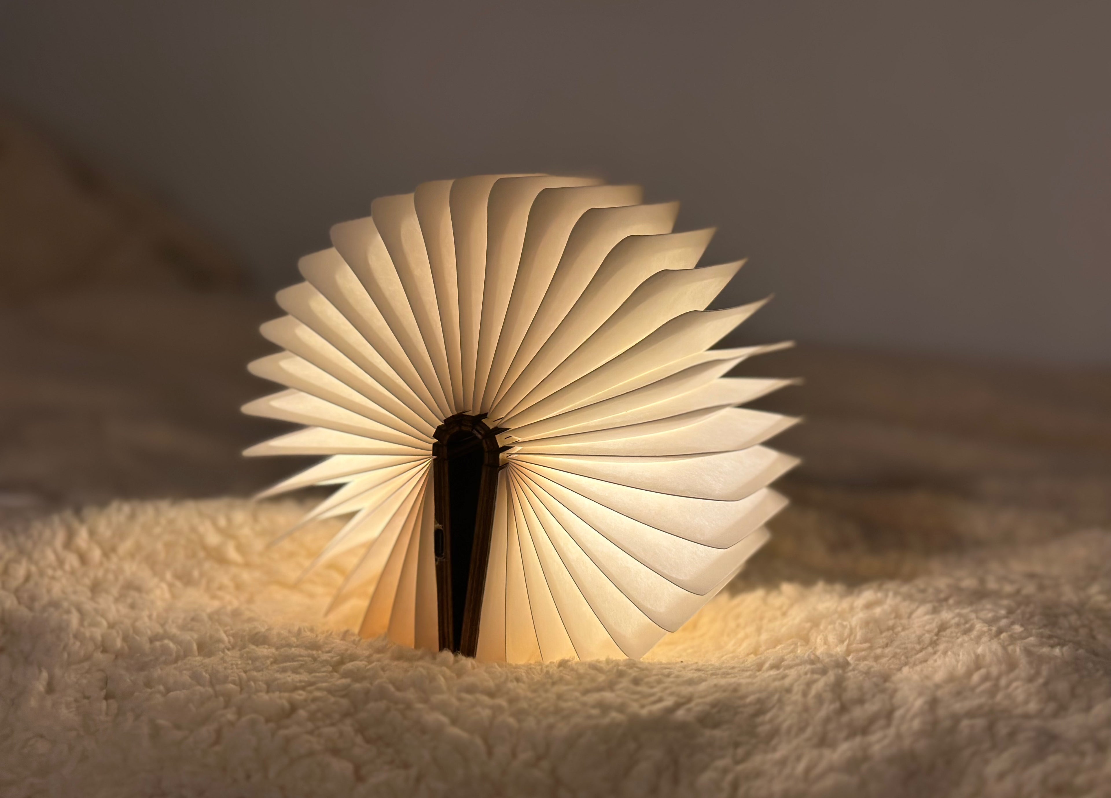 Opvouwbare boek (LED) in 3D