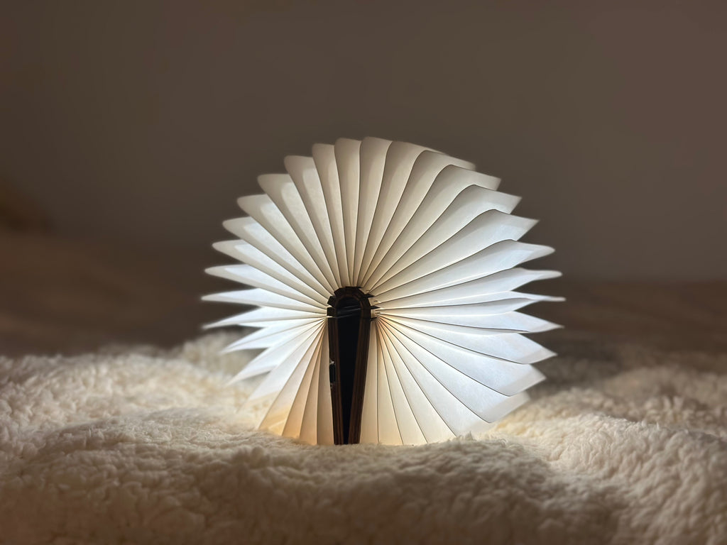 Opvouwbare boek (LED) in 3D