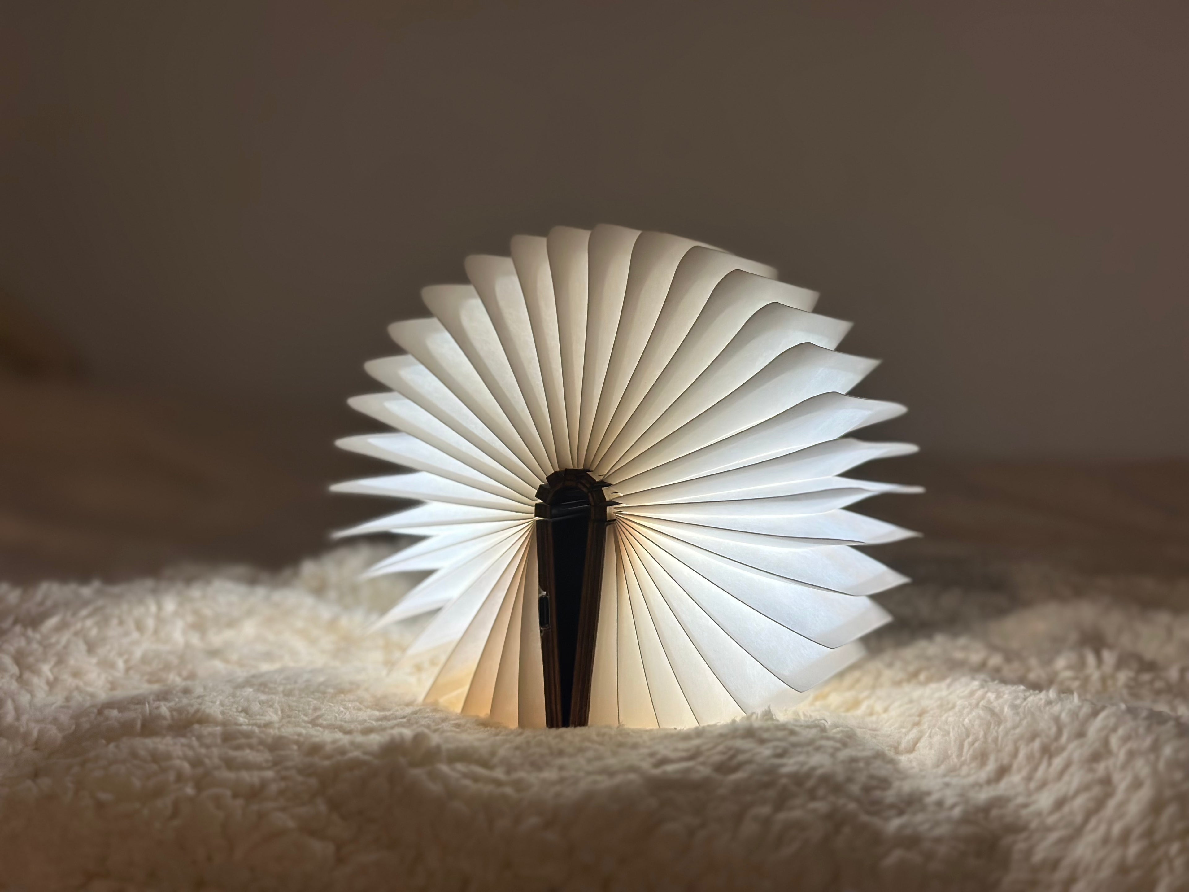 Opvouwbare boek (LED) in 3D